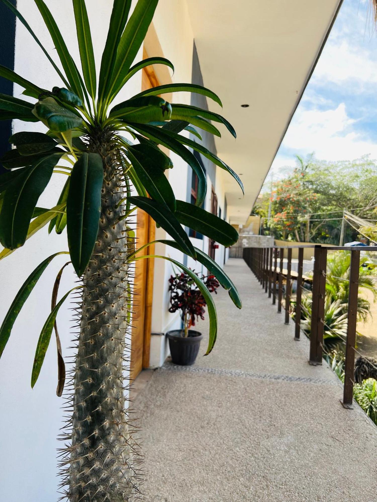 Hotel Samanu Sayulita Exterior photo